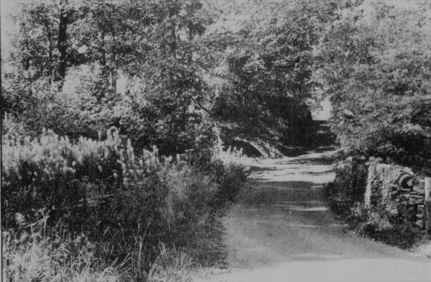Brig-ShepThorn2