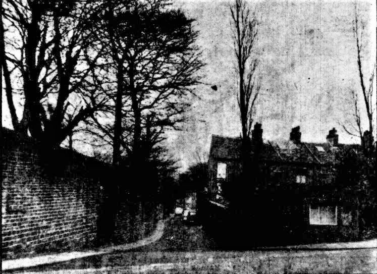 HeathLane-61