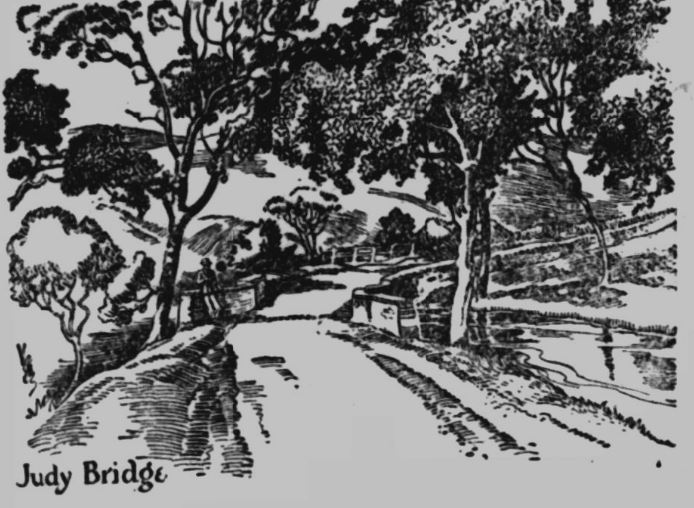 JudyBridge-34