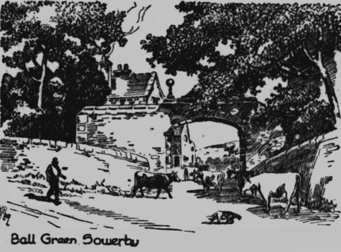 SowerbyBallGreen-34
