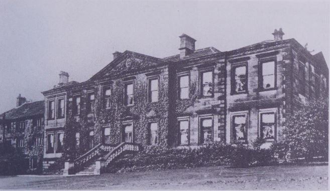 TriangleFieldHs1925