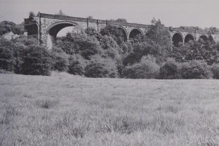 WykeViad