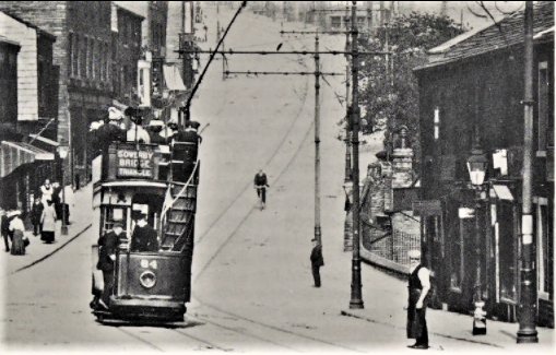 BBrowTram