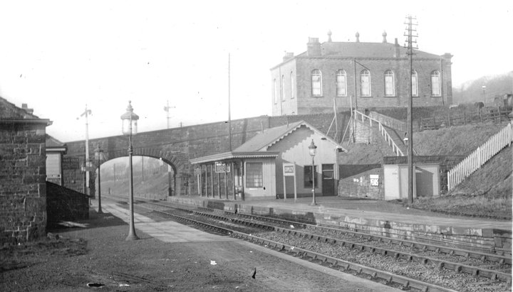 Copley3