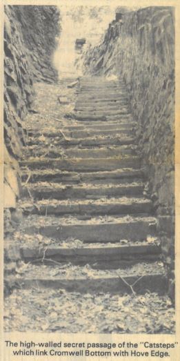 CromwellCatsteps