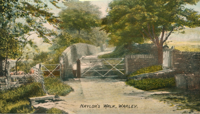 Warley-NaylorsWalk2