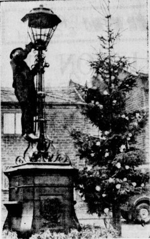 WarleyTree-65