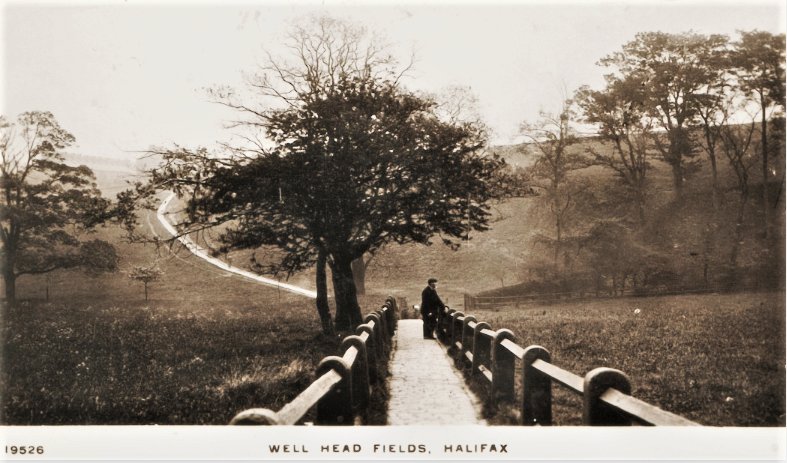 WellHeadFields