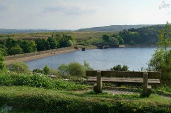 Ogden Nature Reserve