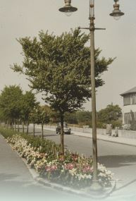 ArdenRd01 ArdenRd01
