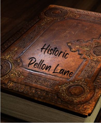 BookPellonLane BookPellonLane