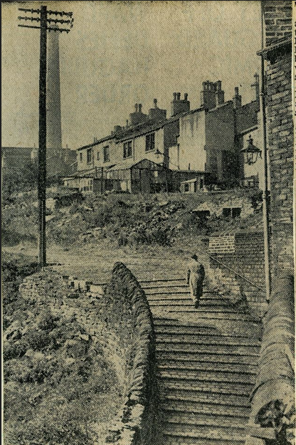 BowlingDyke01