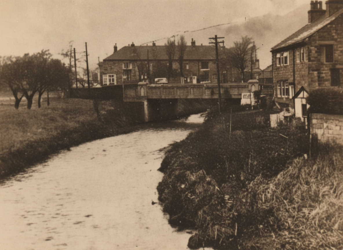Caldene1