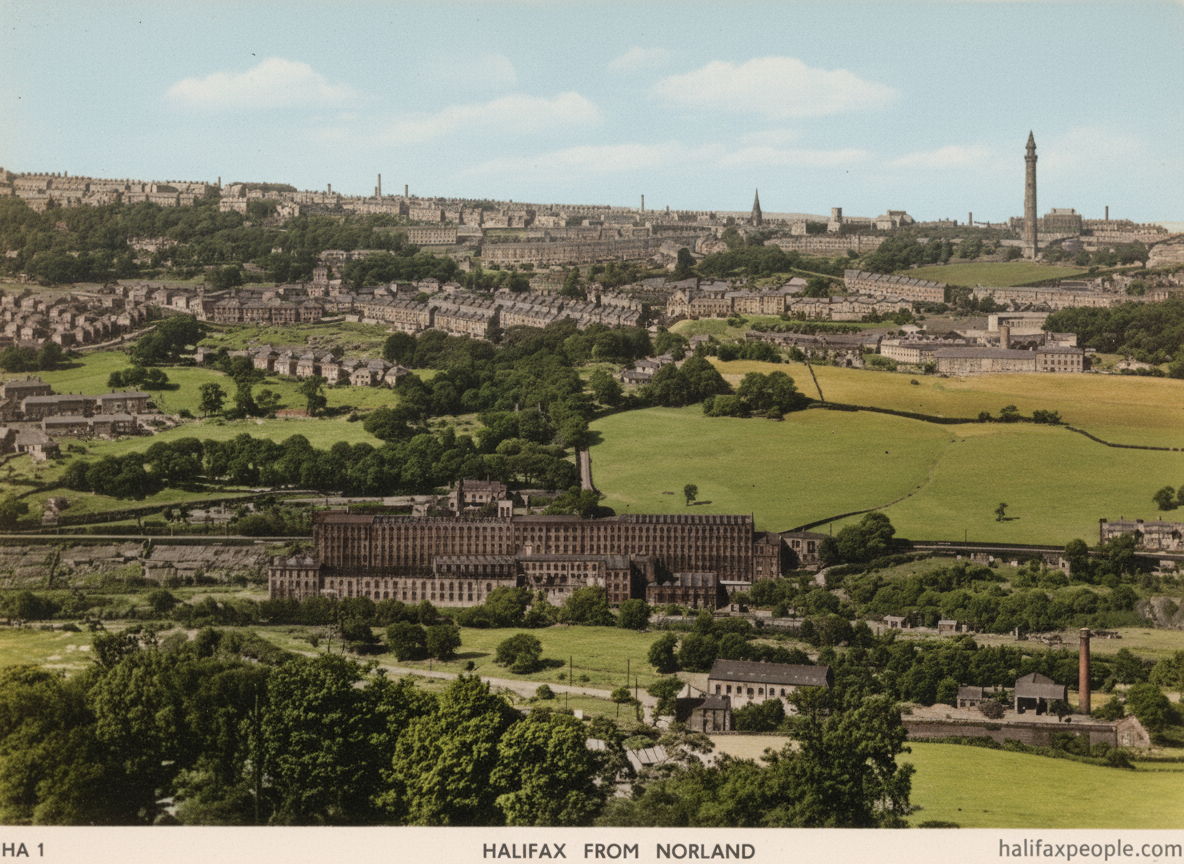 Copleydata-digi Copleydata-digi