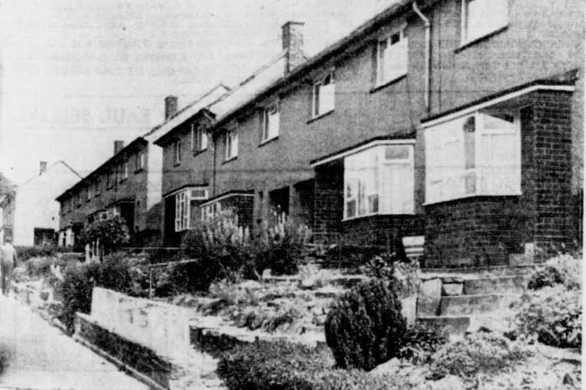 DodgeHolme-67