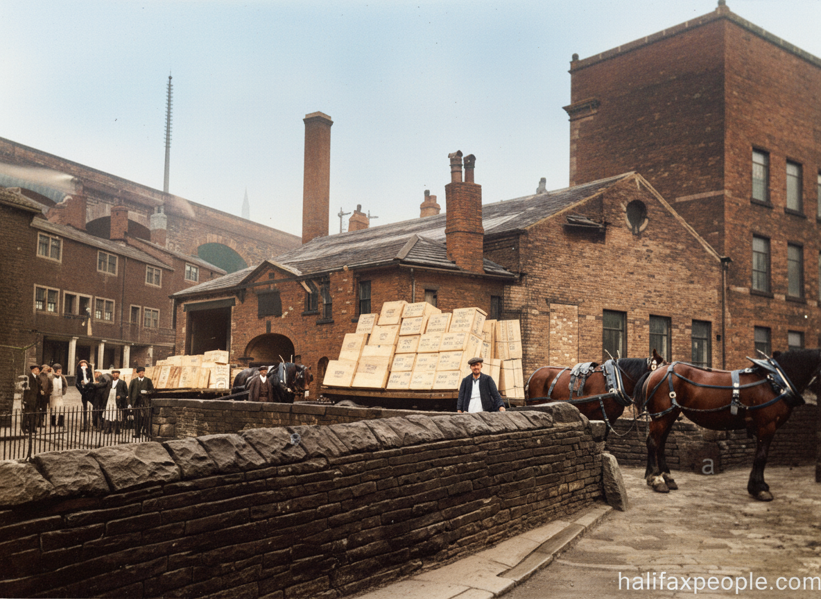 Lily3-digi Lily3-digi