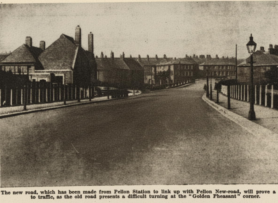 Pellon-OldPheasant-1932
