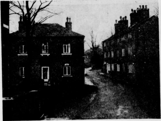 SBHollinsLn1965 