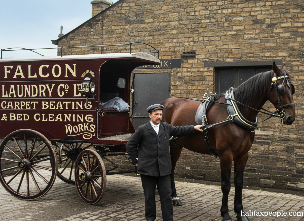 SaltFalconClean-digi SaltFalconClean-digi