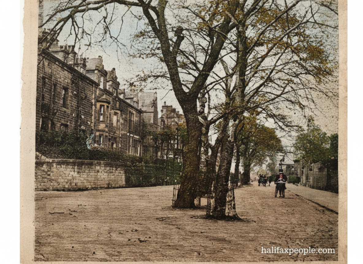 SavPkRd-digi SavPkRd-digi