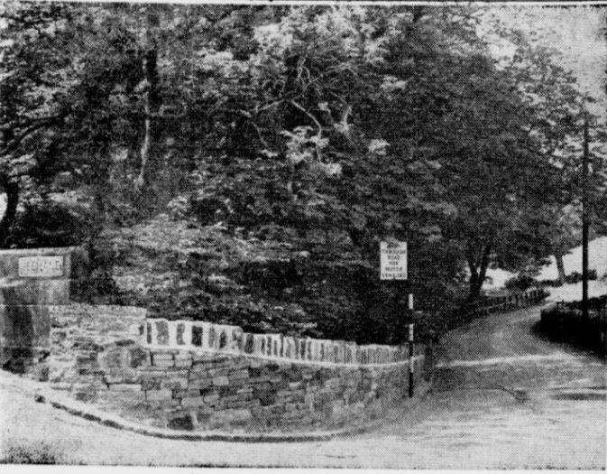 ShibdenLeeLane-67