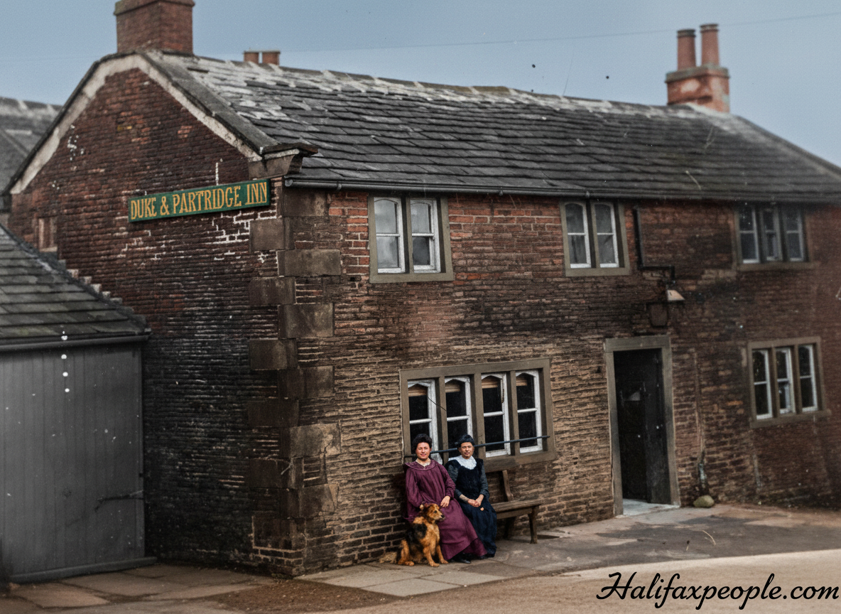 Sowood-DogandPartridge-digi