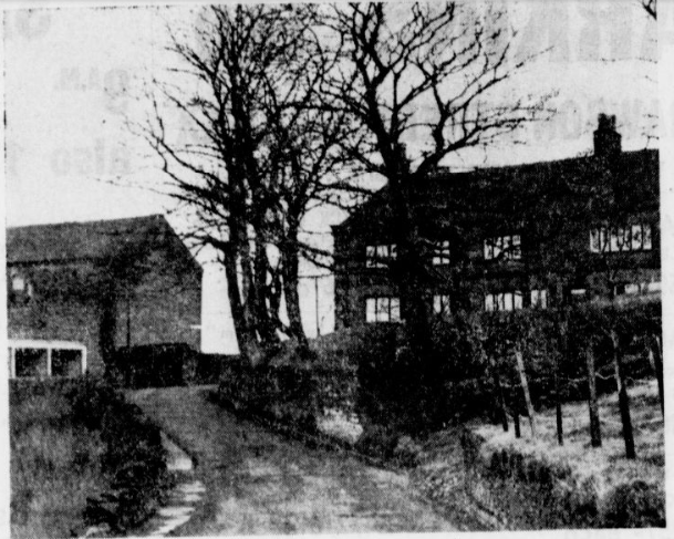 SpringLea1965