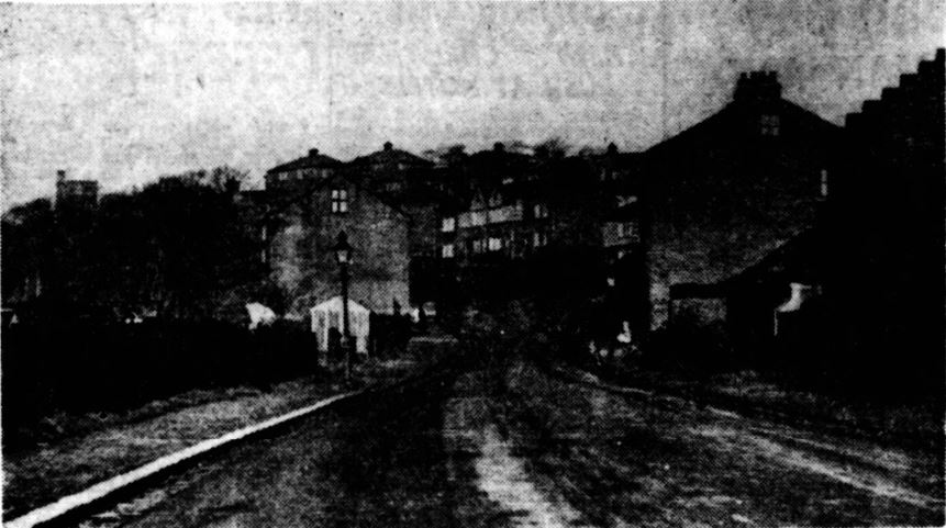 WheatLn1950