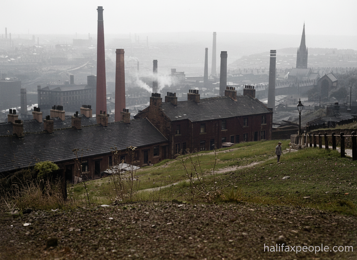 Whiskam1-digi Whiskam1-digi