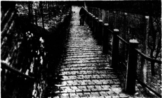 WoodsidePath50