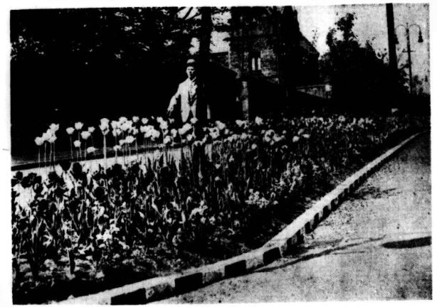 ArdenRoad1940