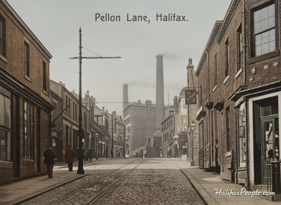 PellonLaneVic-digi