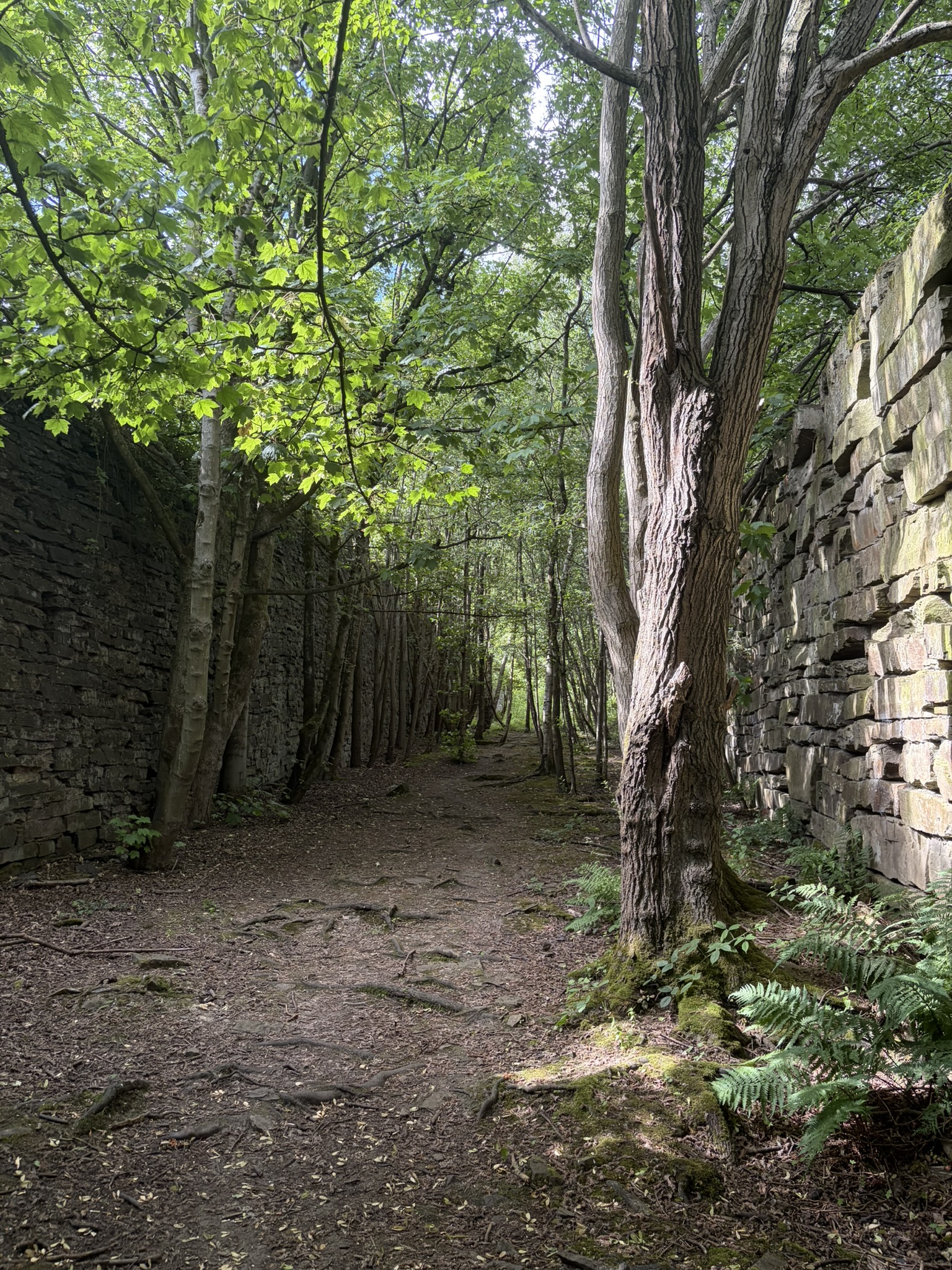 PurlwellTop
