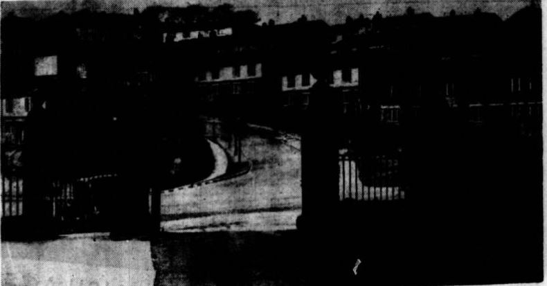 Shroggs1940