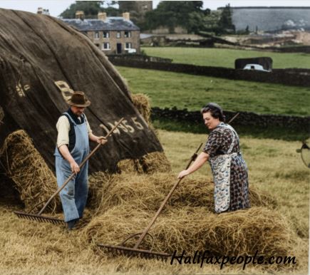 SramPinnar-digi SramPinnar-digi