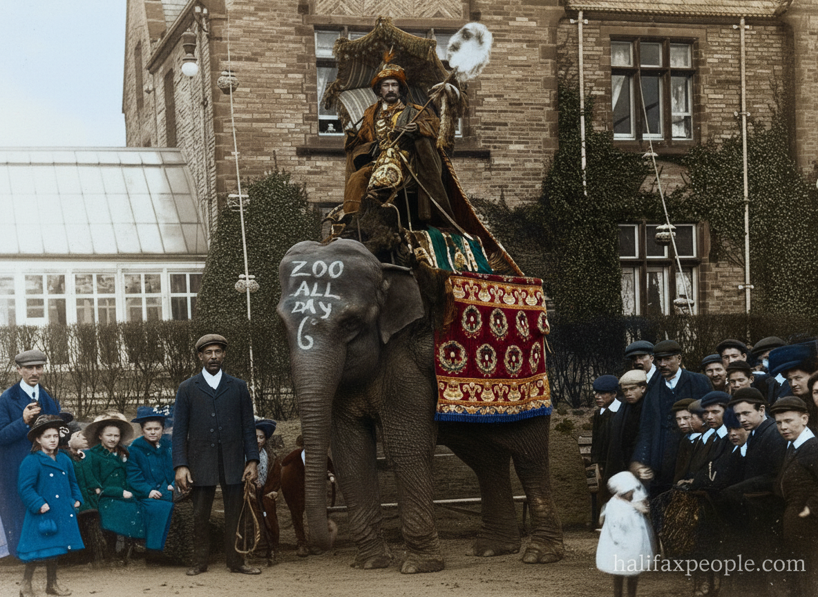 ZooNigger-digi ZooNigger-digi