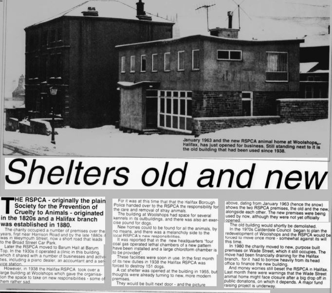 info-RSPCA info-RSPCA